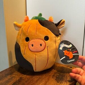 🇺🇸 Mallowmash PUMPKIN CONNOR Squishmallow